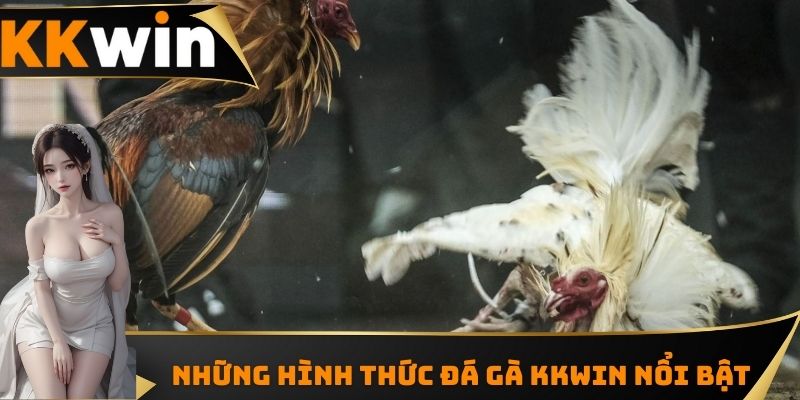 Điểm qua hai hình thức thi đấu đá gà casino nổi bật